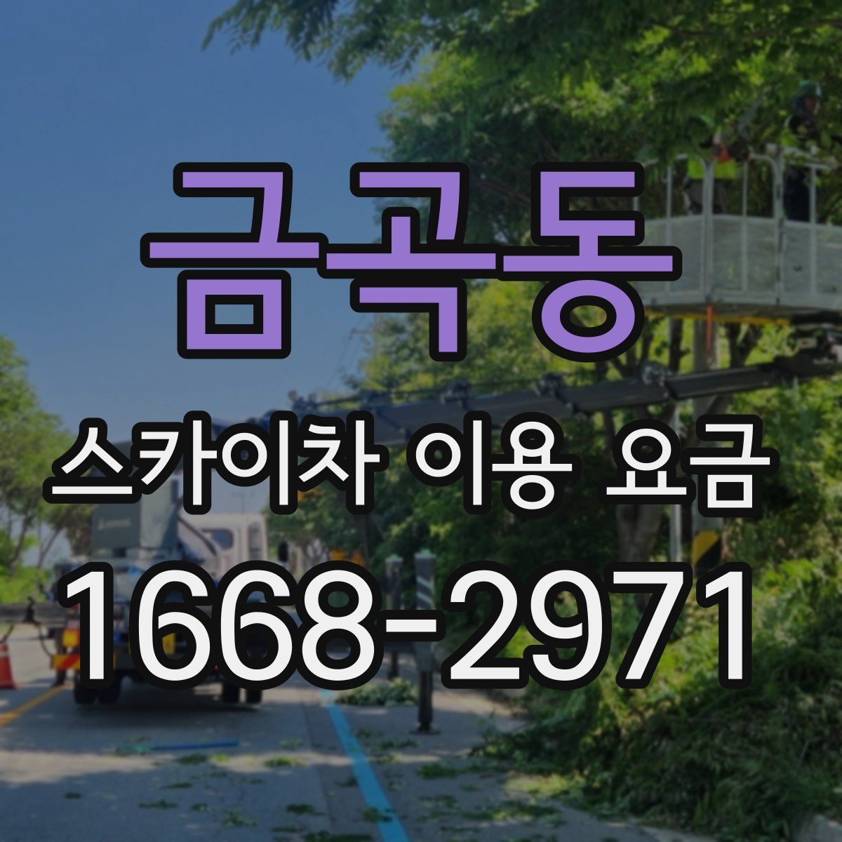 금곡동 스카이차 이용 요금