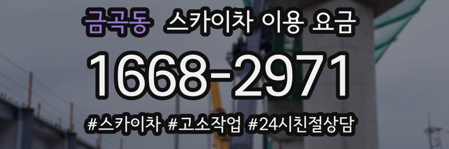 금곡동 스카이차 이용 요금