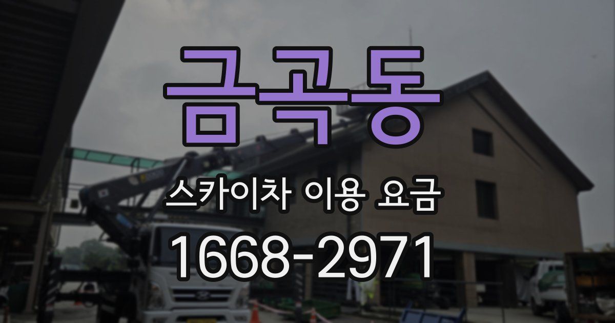 금곡동 스카이차 이용 요금