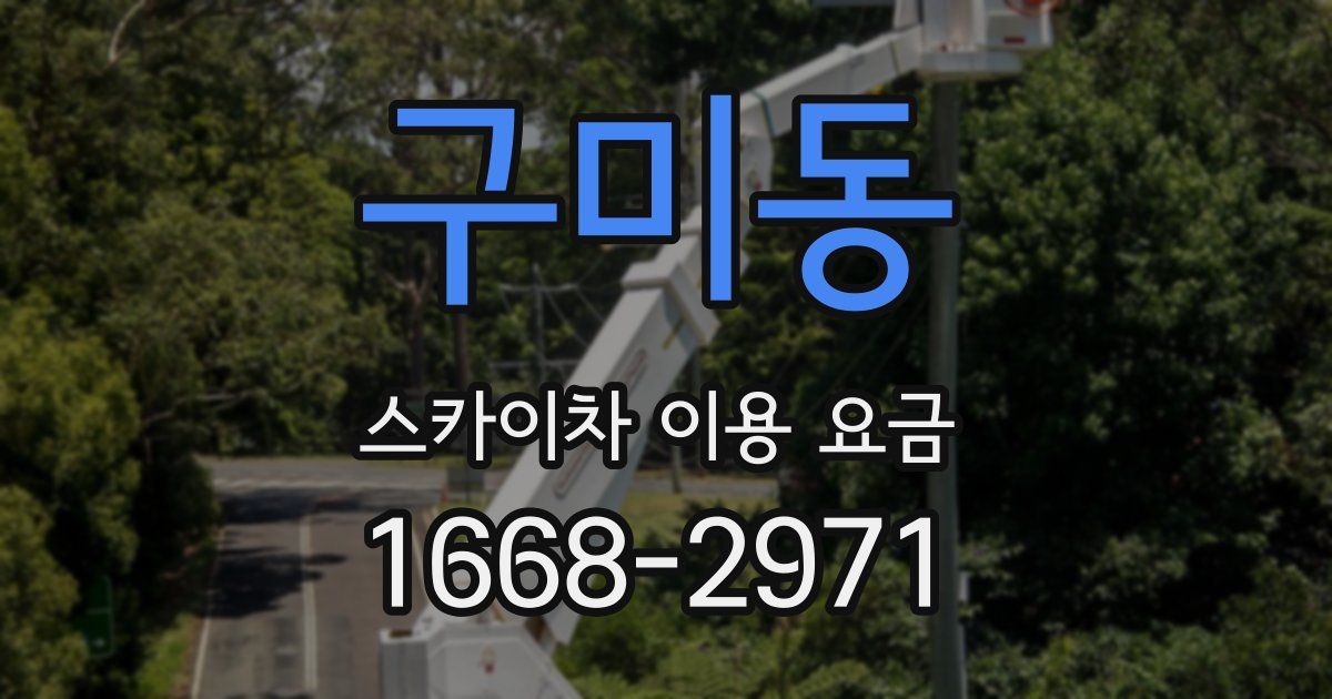 구미동 스카이차 이용 요금