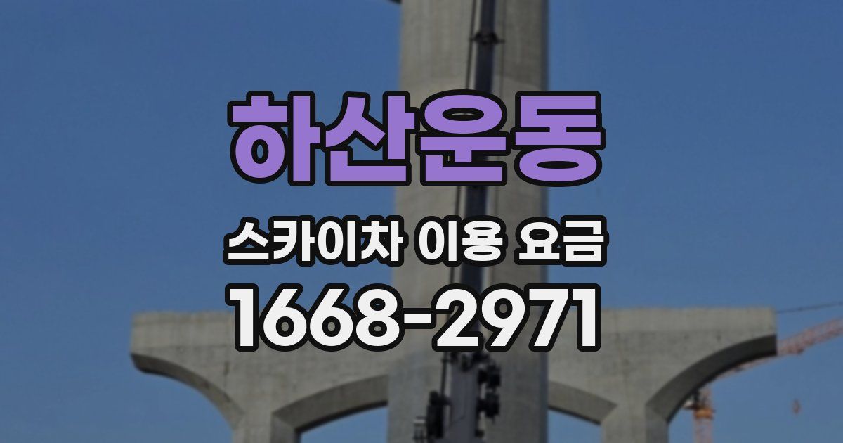 하산운동 스카이차 이용 요금