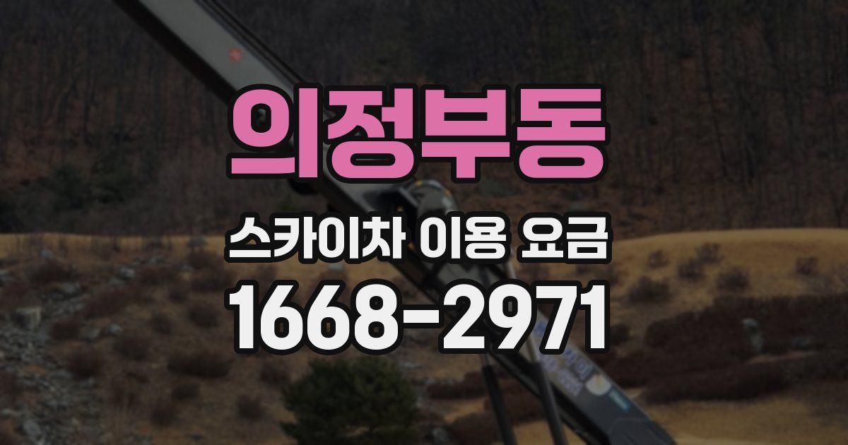 의정부동 스카이차 이용 요금
