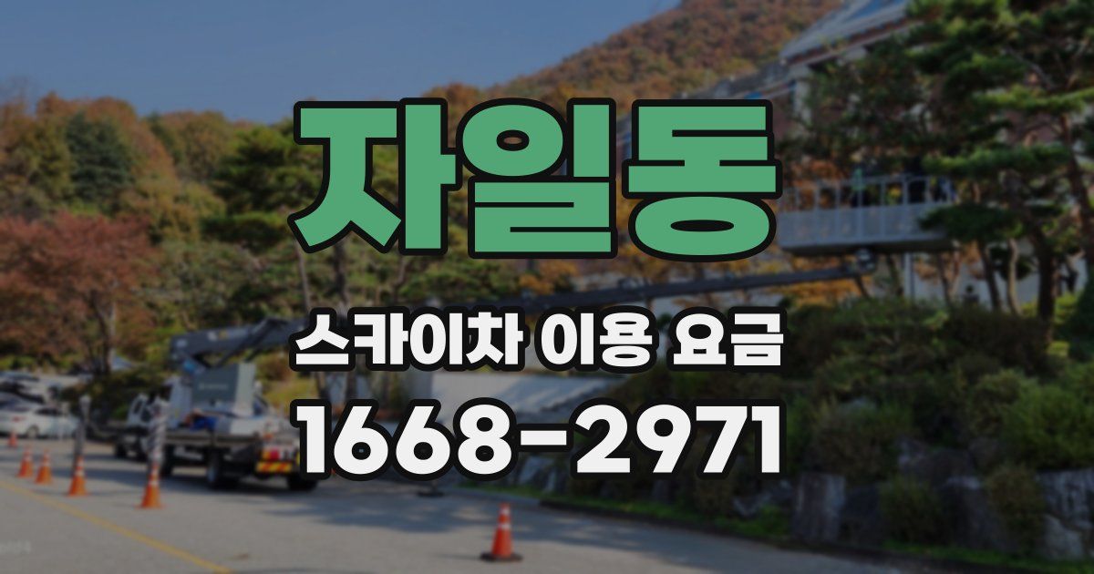 자일동 스카이차 이용 요금