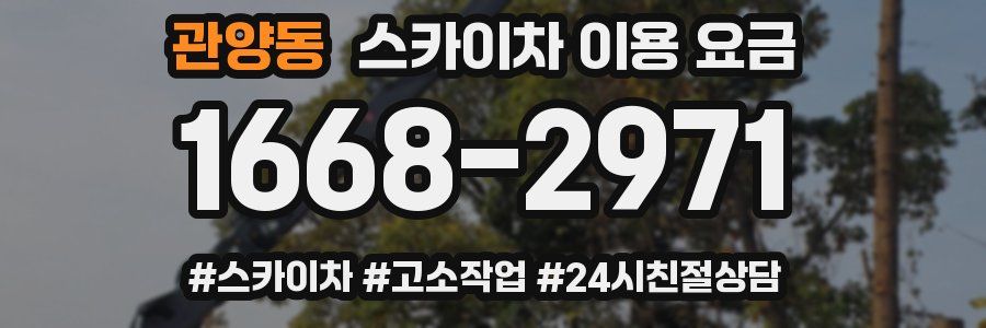 관양동 스카이차 이용 요금