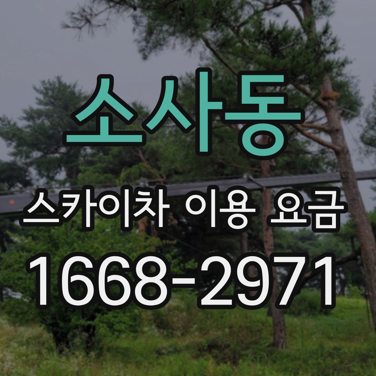 소사동 스카이차 이용 요금