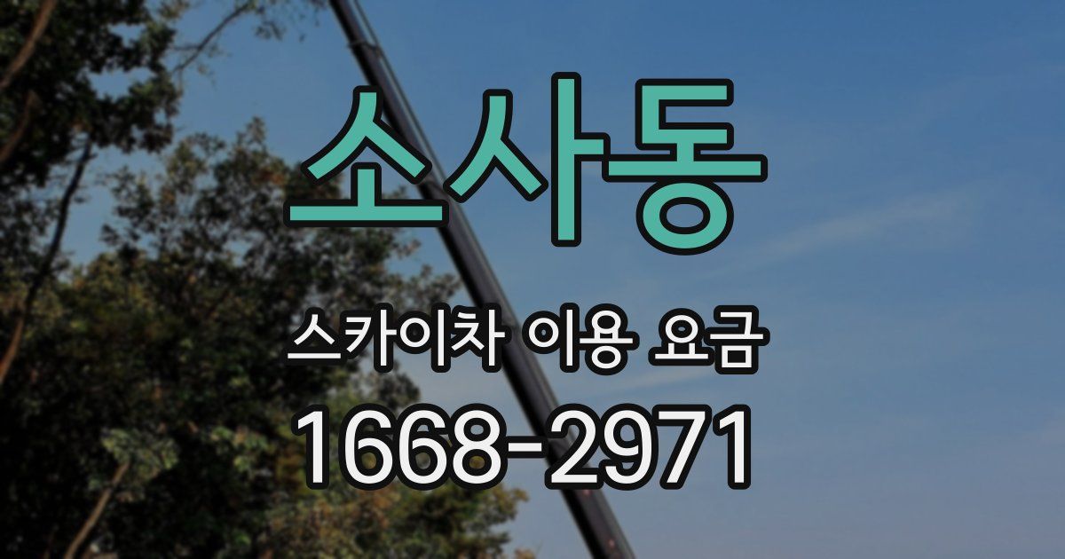 소사동 스카이차 이용 요금