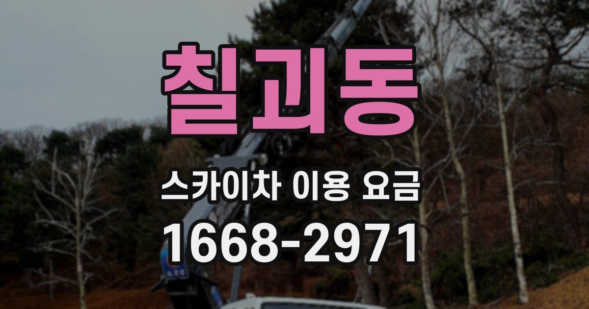 칠괴동 스카이차 이용 요금