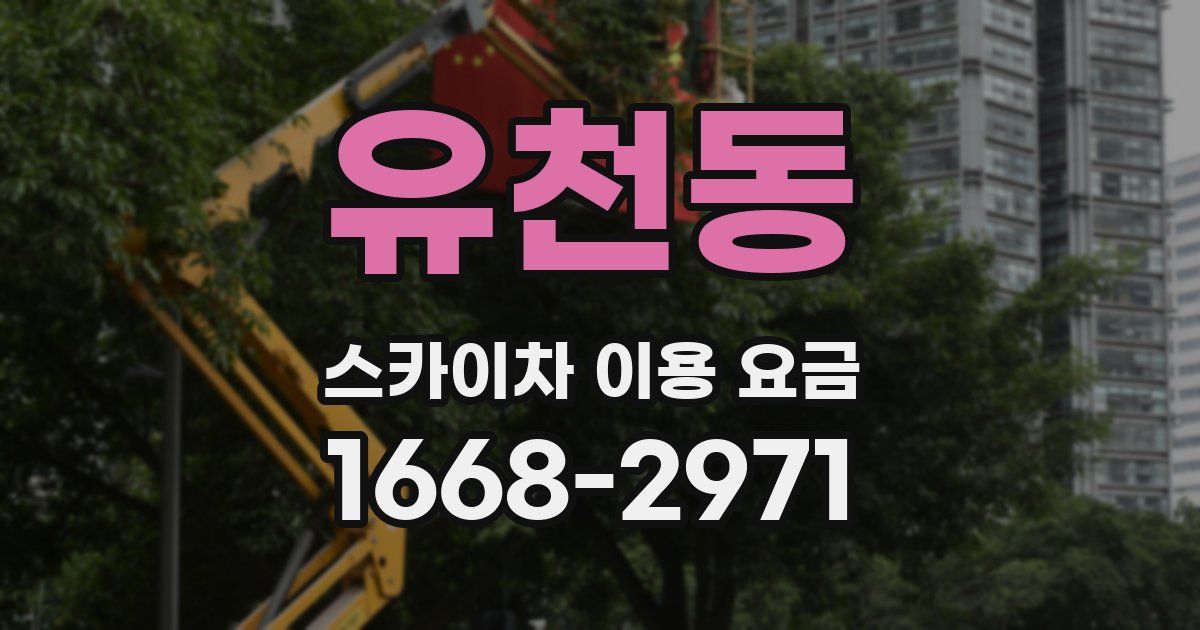 유천동 스카이차 이용 요금