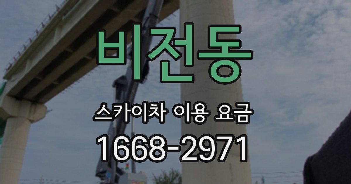 비전동 스카이차 이용 요금