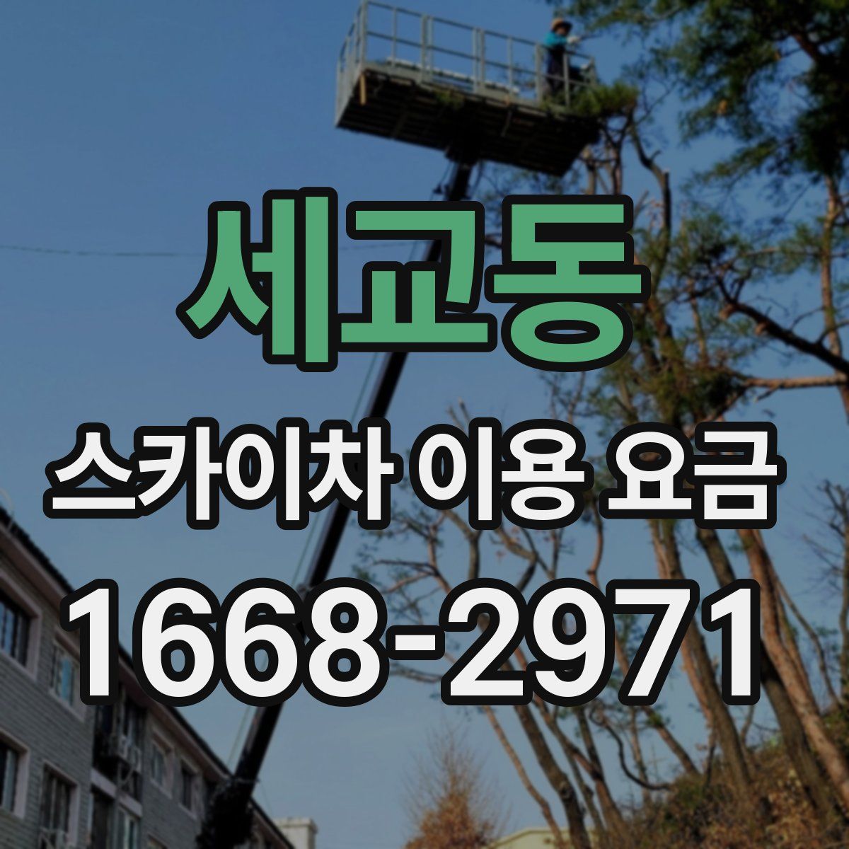 세교동 스카이차 이용 요금