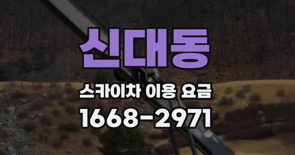 신대동 스카이차 이용 요금