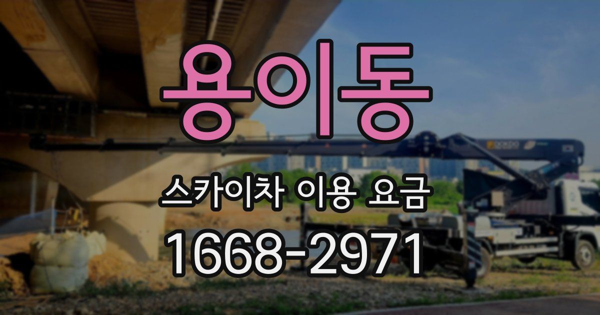 용이동 스카이차 이용 요금