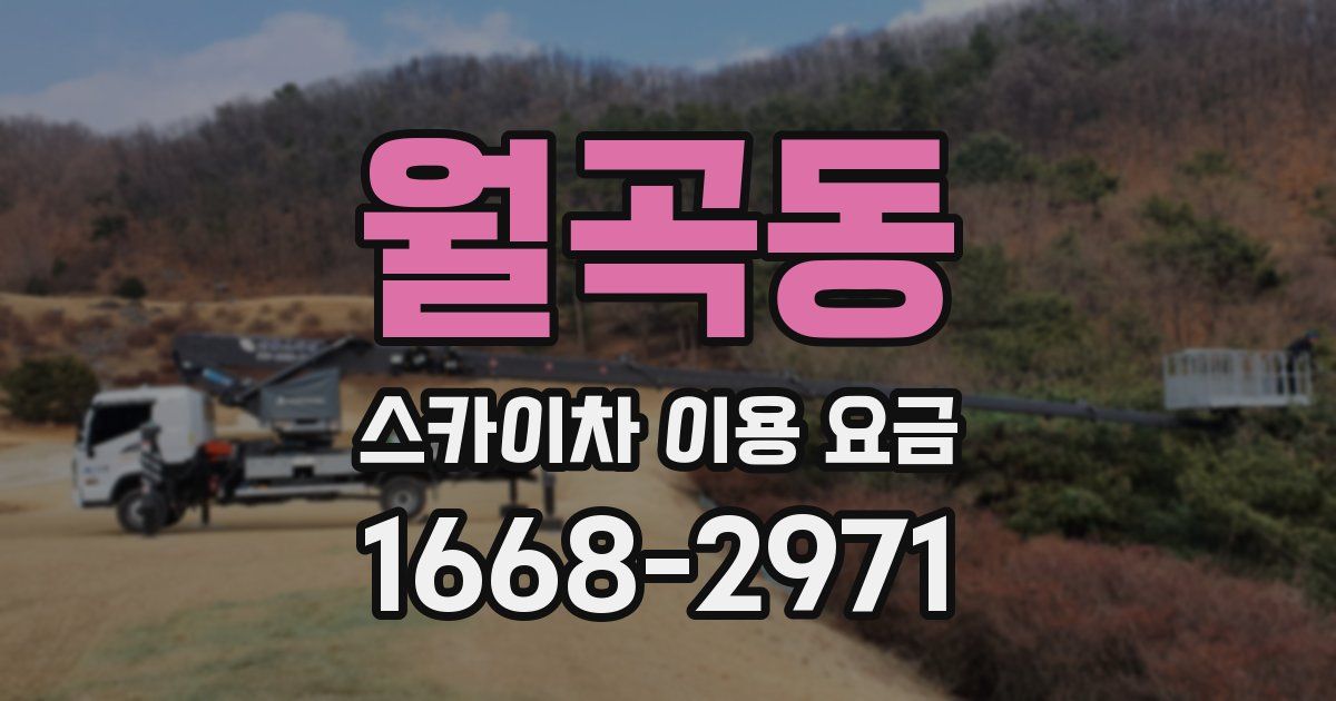 월곡동 스카이차 이용 요금