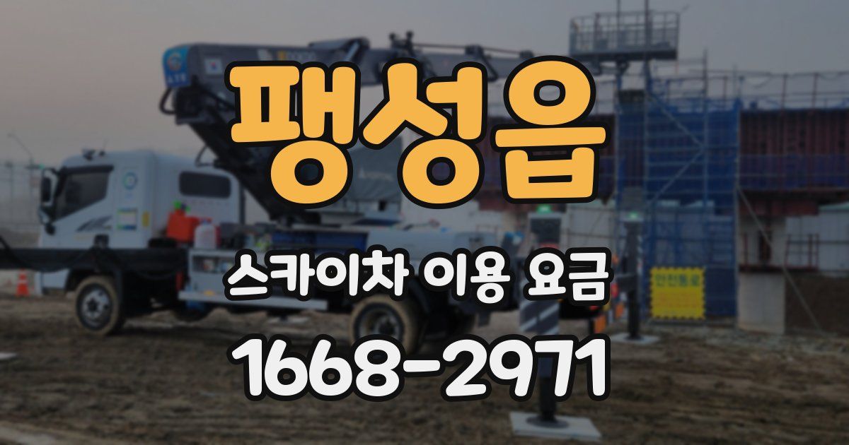 팽성읍 스카이차 이용 요금