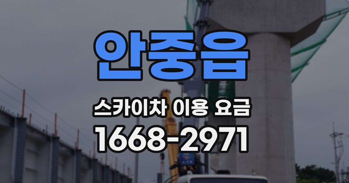 안중읍 스카이차 이용 요금