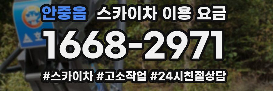 안중읍 스카이차 이용 요금
