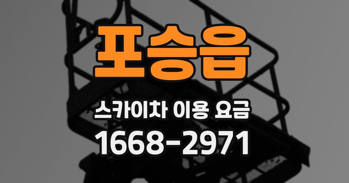 포승읍 스카이차 이용 요금
