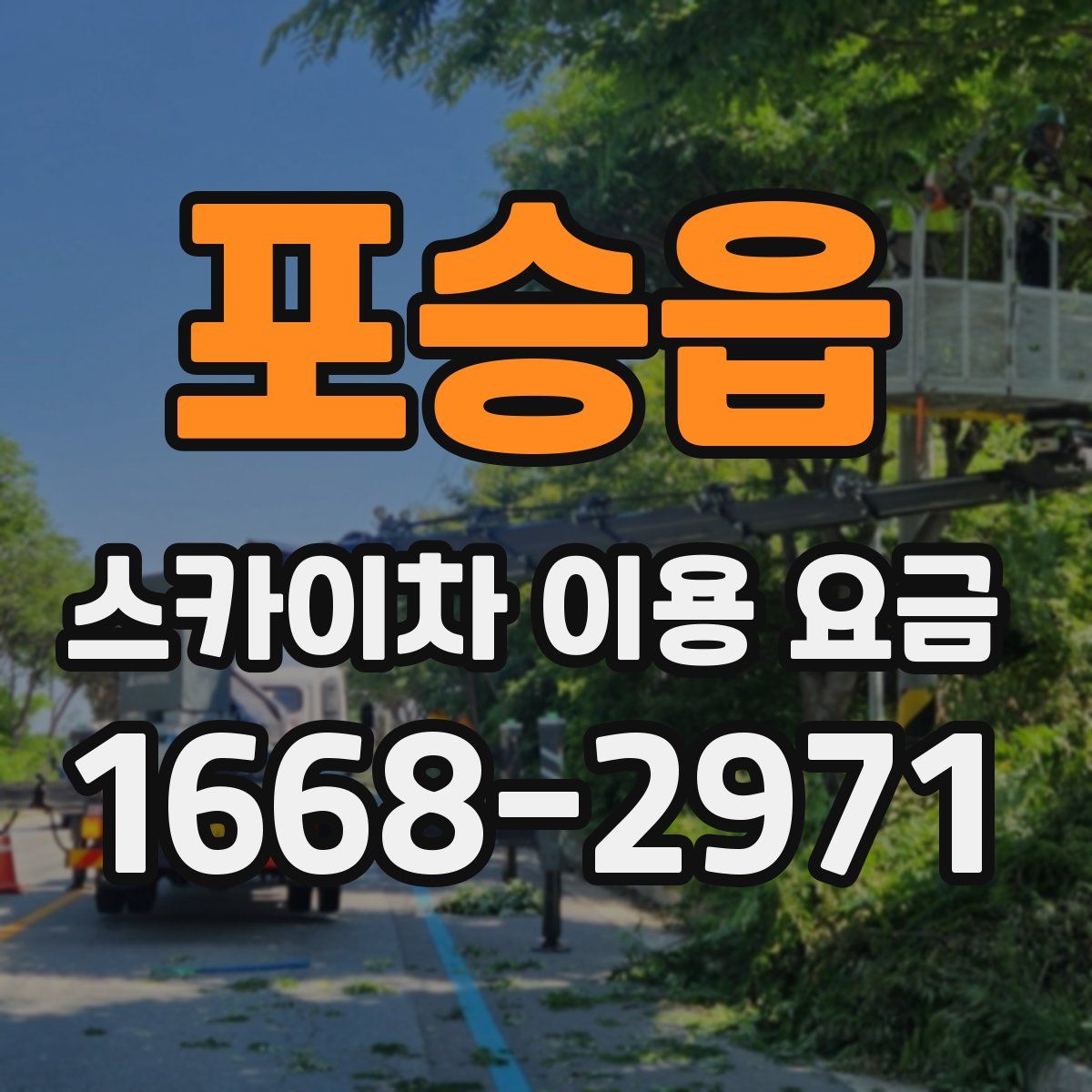 포승읍 스카이차 이용 요금