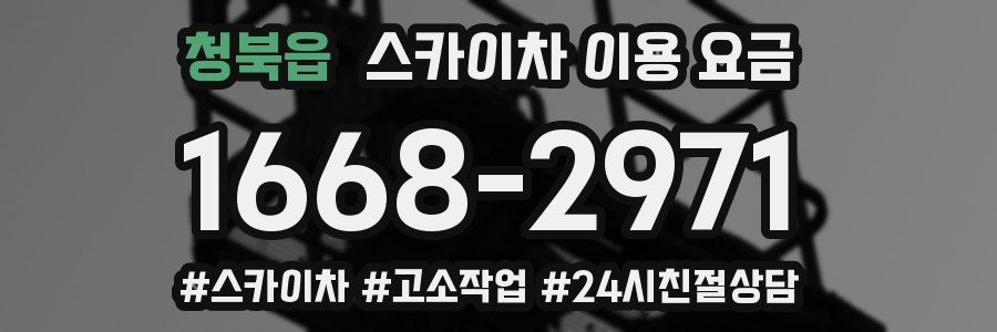 청북읍 스카이차 이용 요금