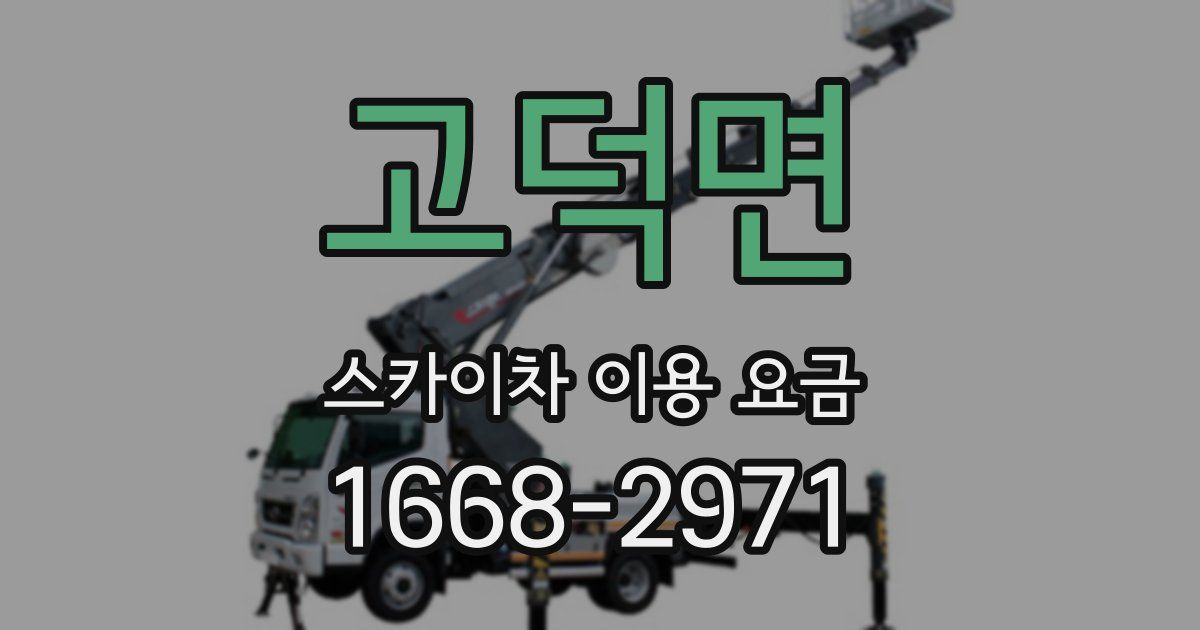 고덕면 스카이차 이용 요금
