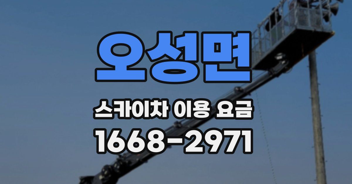 오성면 스카이차 이용 요금