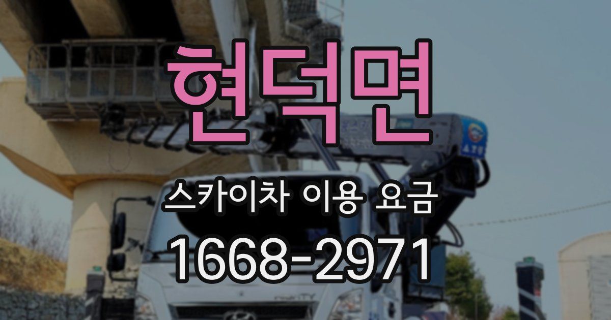현덕면 스카이차 이용 요금