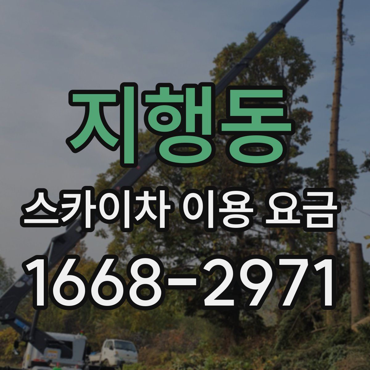 지행동 스카이차 이용 요금