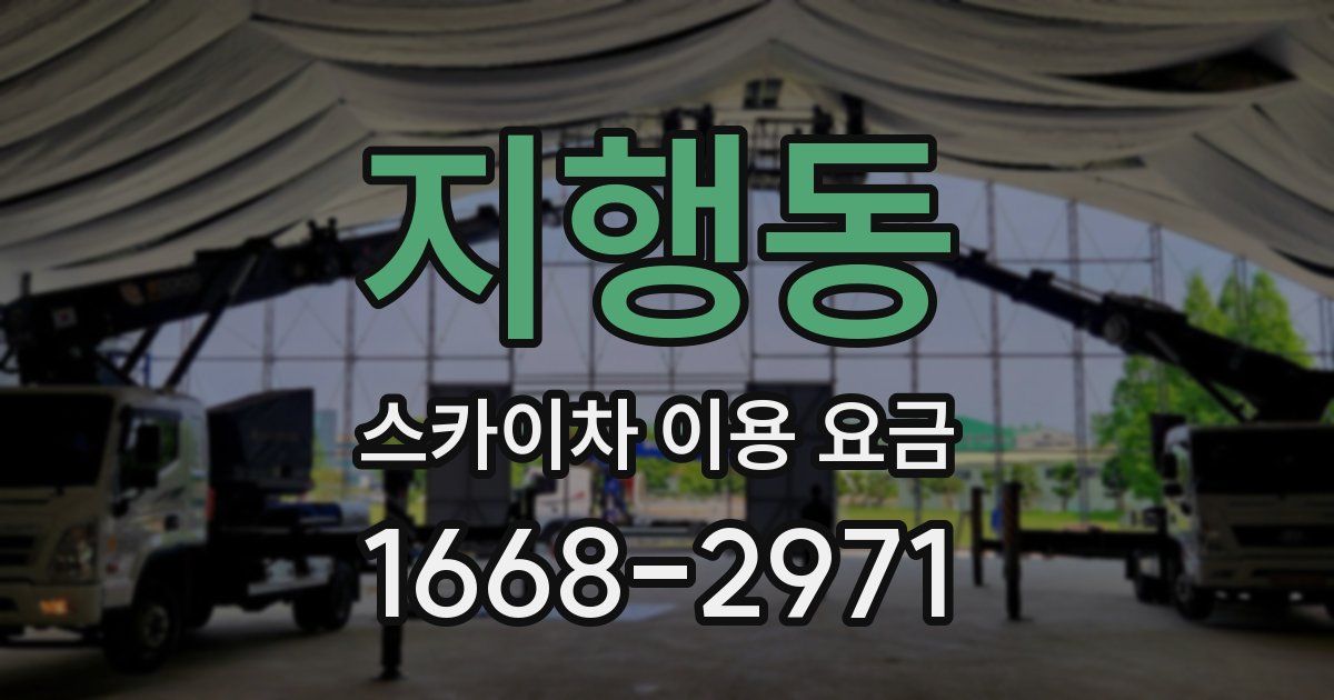 지행동 스카이차 이용 요금