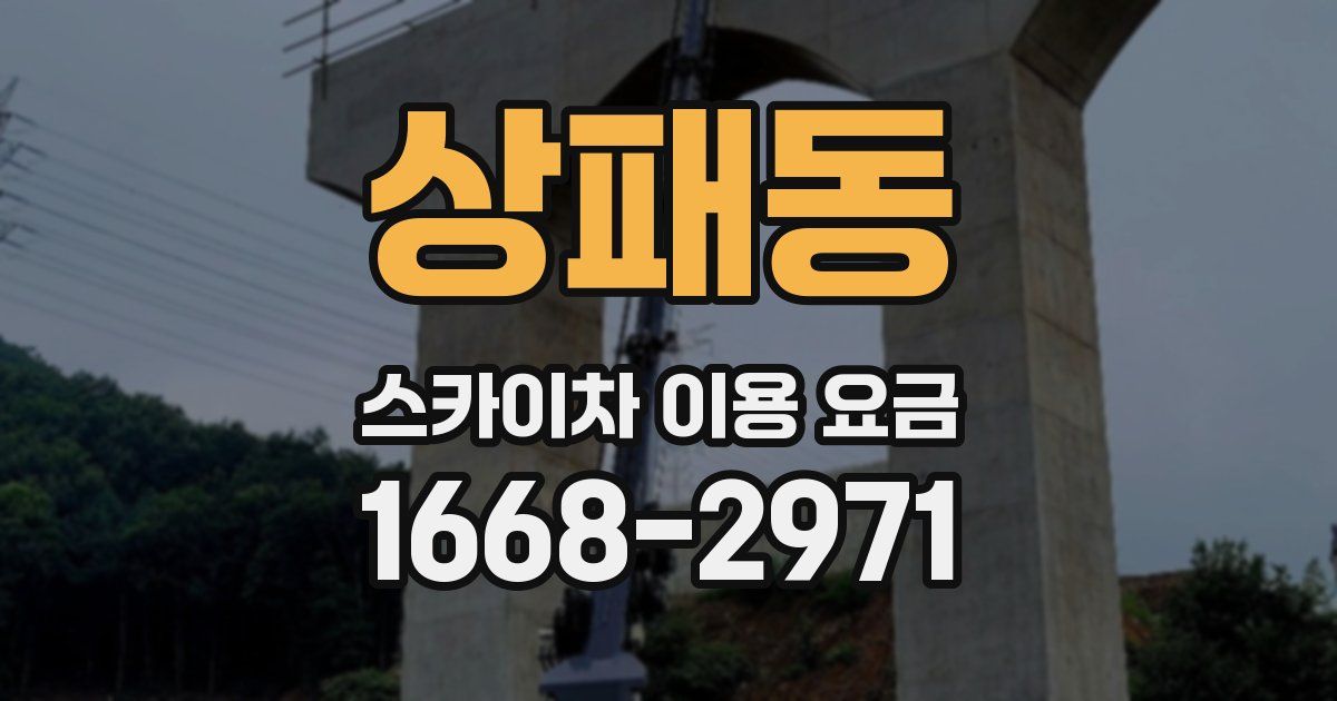 상패동 스카이차 이용 요금