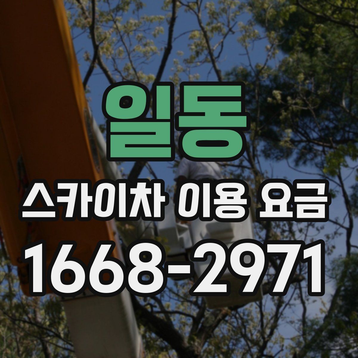 일동 스카이차 이용 요금 정리, 예산 잡는 법