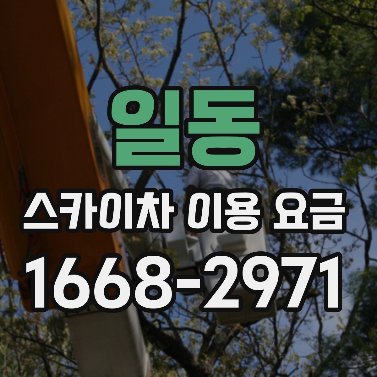 일동 스카이차 이용 요금