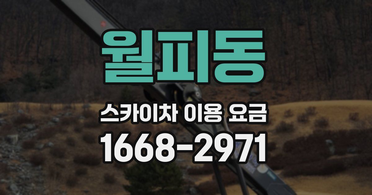 월피동 스카이차 이용 요금