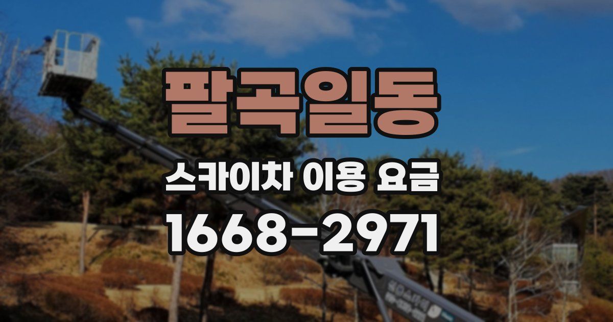 팔곡일동 스카이차 이용 요금