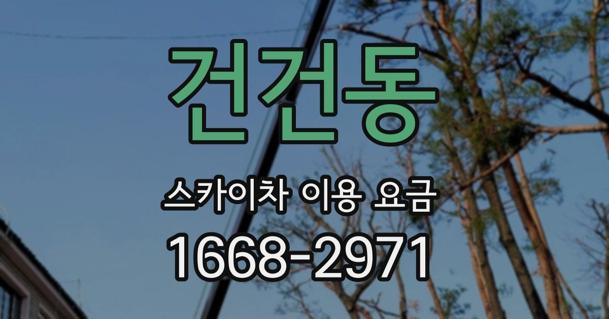 건건동 스카이차 이용 요금