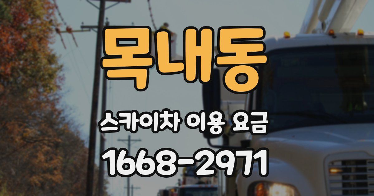 목내동 스카이차 이용 요금