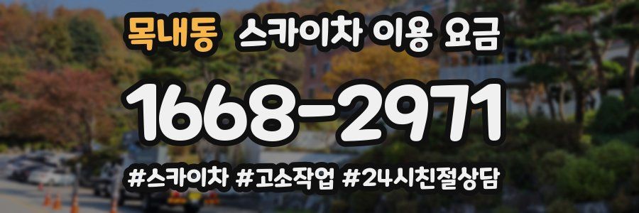 목내동 스카이차 이용 요금