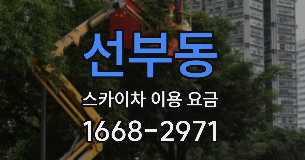 선부동 스카이차 이용 요금