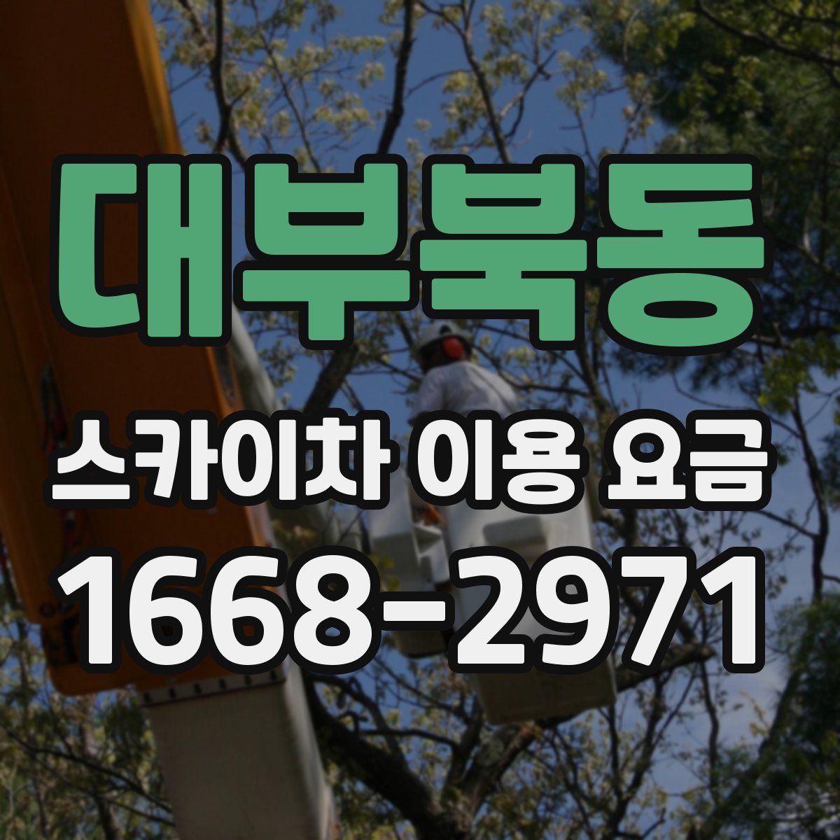 대부북동 스카이차 이용 요금