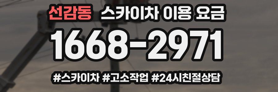 선감동 스카이차 이용 요금