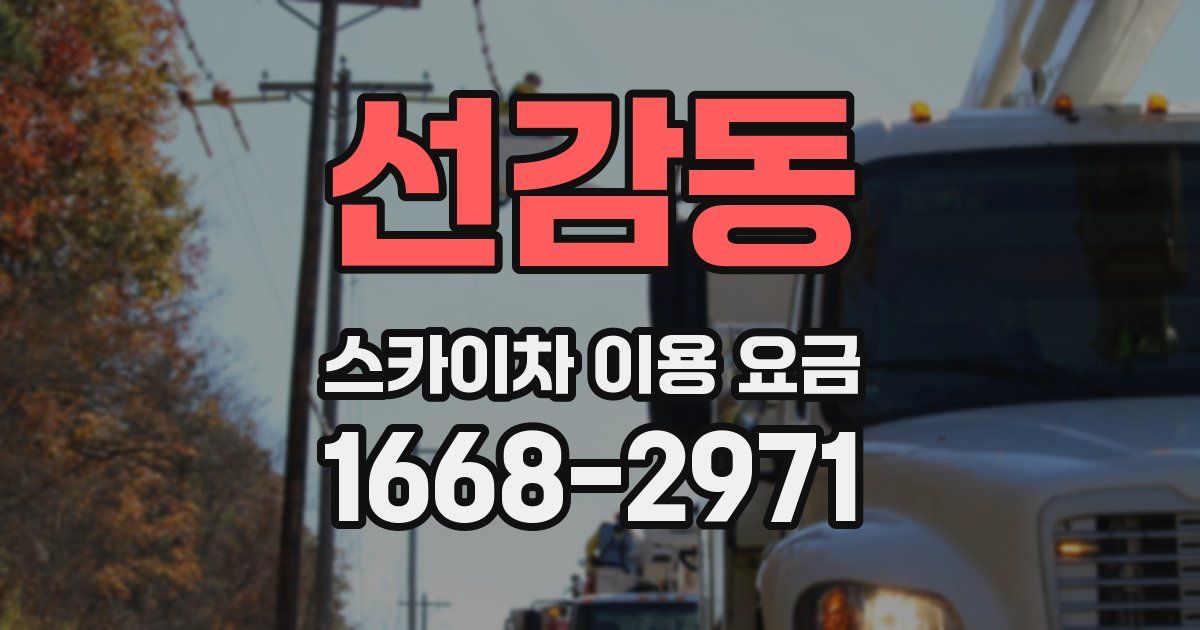 선감동 스카이차 이용 요금
