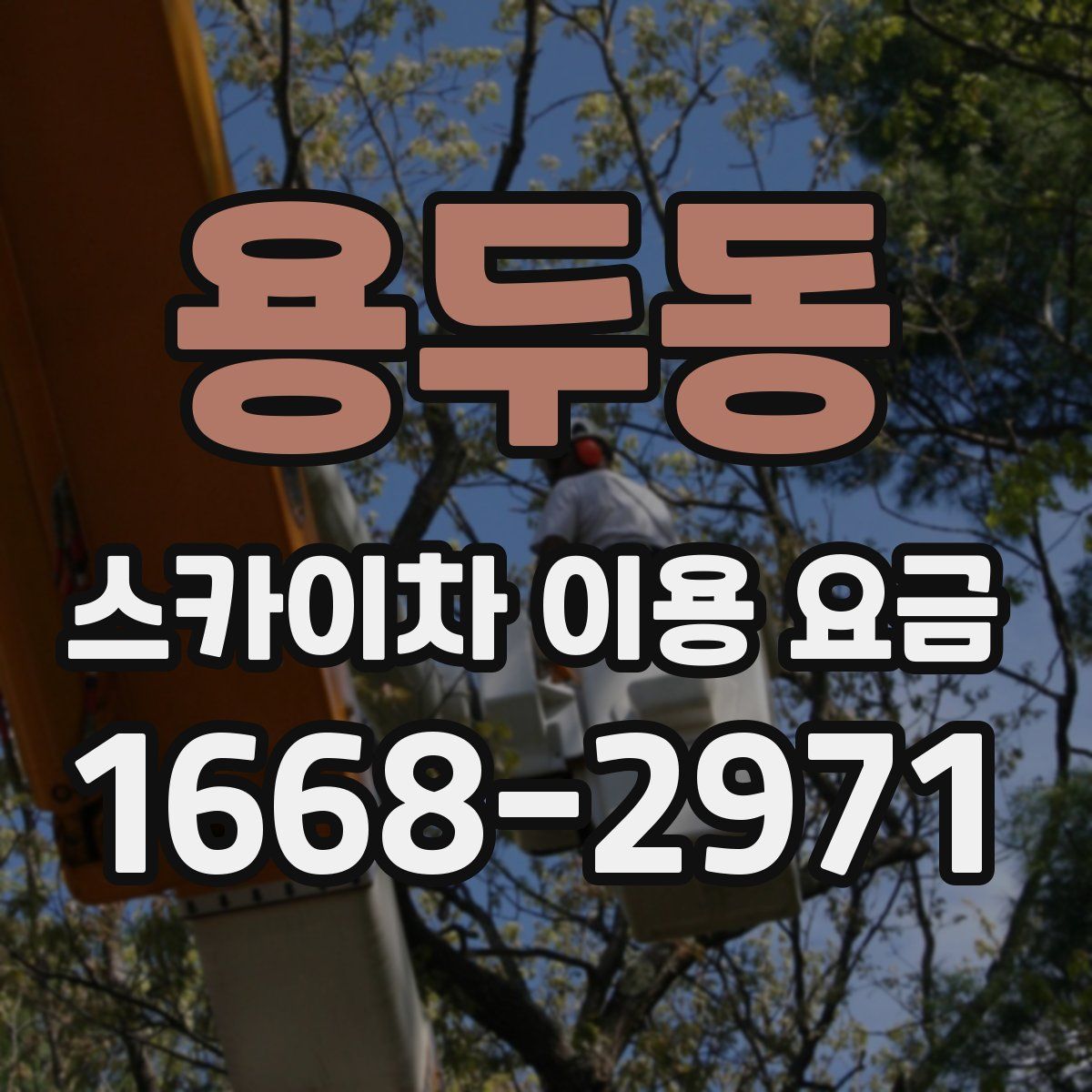 용두동 스카이차 이용 요금