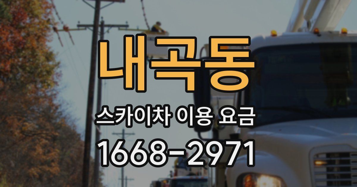 내곡동 스카이차 이용 요금
