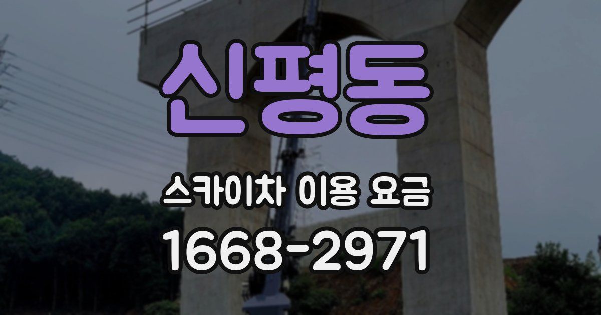 신평동 스카이차 이용 요금