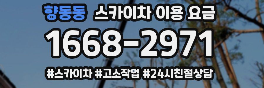 향동동 스카이차 이용 요금