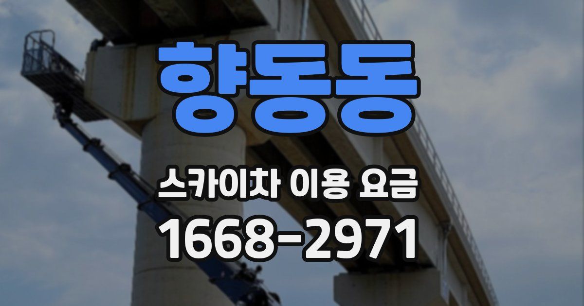 향동동 스카이차 이용 요금