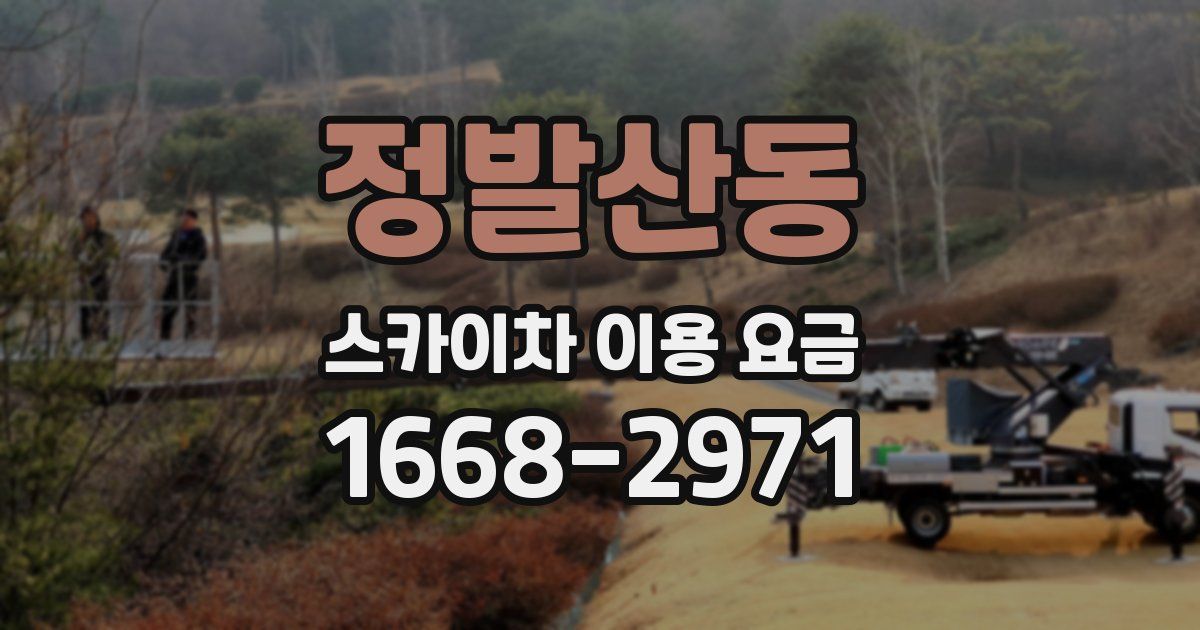 정발산동 스카이차 이용 요금