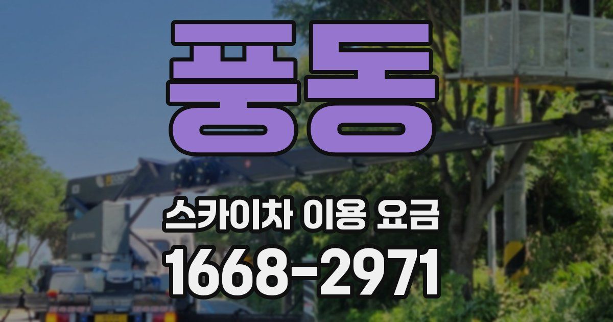 풍동 스카이차 이용 요금