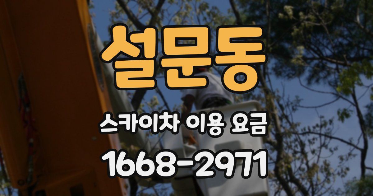 설문동 스카이차 이용 요금