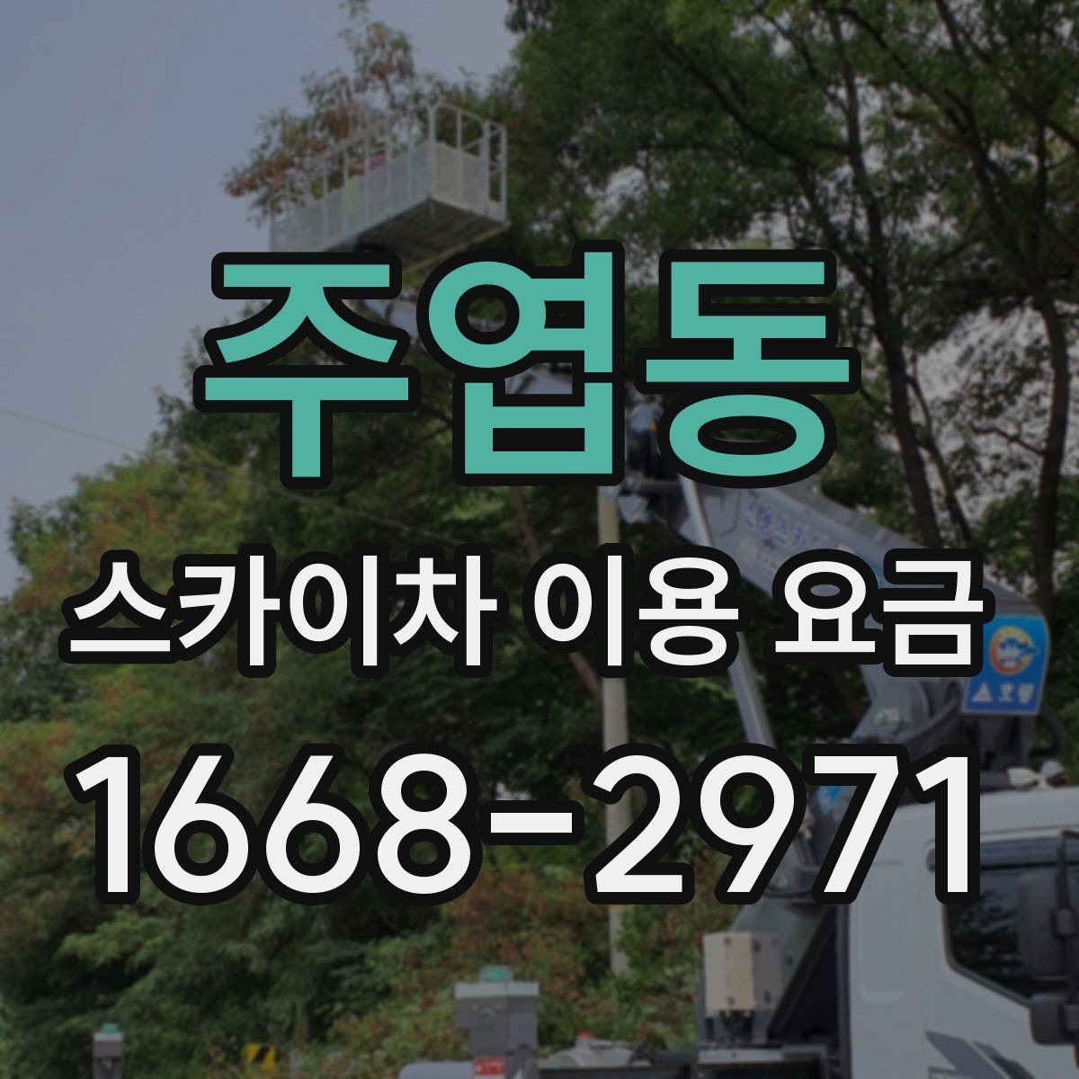 주엽동 스카이차 이용 요금 알아볼 때 확인할 기준