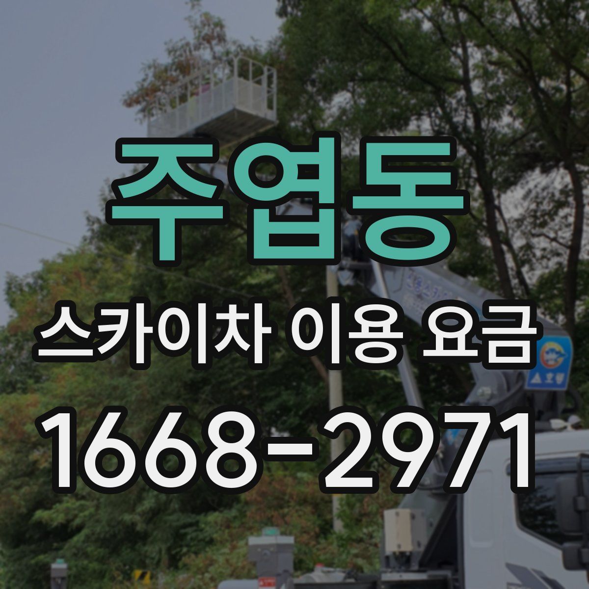 주엽동 스카이차 이용 요금
